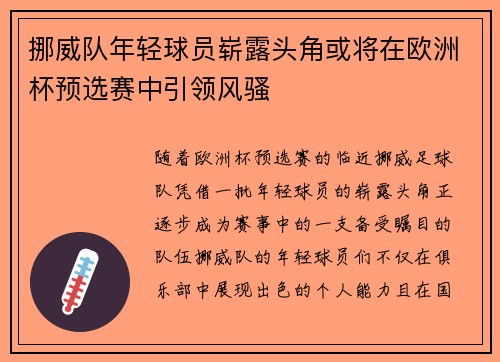 挪威队年轻球员崭露头角或将在欧洲杯预选赛中引领风骚