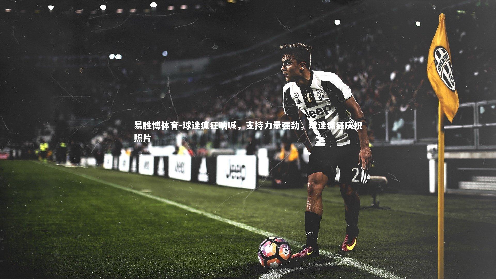 易胜博体育-球迷疯狂呐喊，支持力量强劲，球迷疯狂庆祝照片-第1张图片-易胜博体育