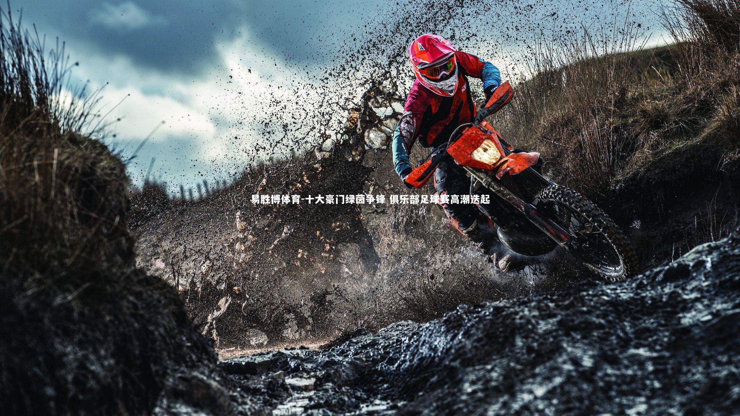 易胜博体育-十大豪门绿茵争锋 俱乐部足球赛高潮迭起-第2张图片-易胜博体育
